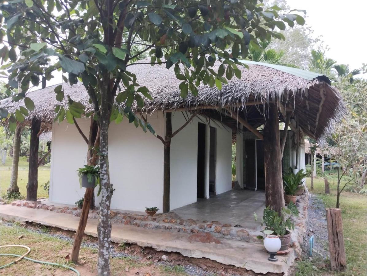 Baan Farang Homestay Phra Saeng Ban Nam Dam Kültér fotó